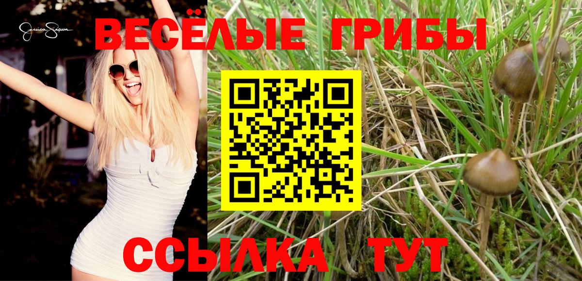 Псилоцибиновые грибы мухоморы Брянск
