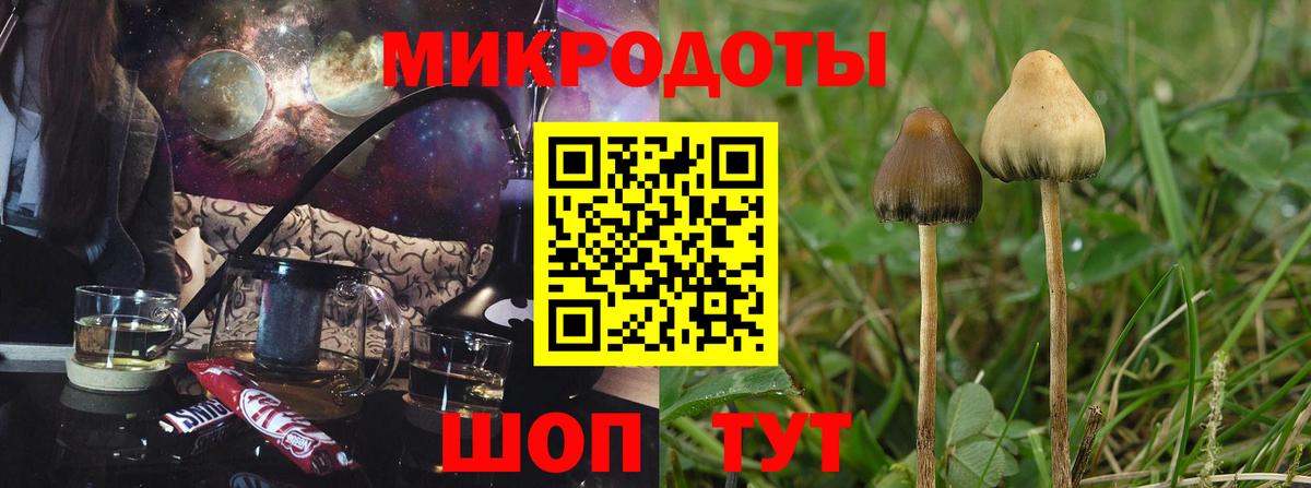 Галлюциногенные грибы Psilocybine cubensis  Вход с VPN  Галлюциногенные грибы GOLDEN TEACHER  Брянск 