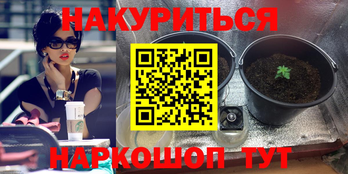 Брянск  Канабис MAZAR  Вход с VPN  Бошки марихуана конопля 